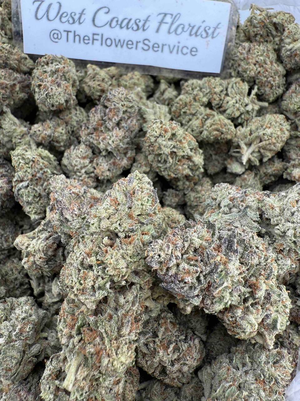 4902608798367812578 Z-EREAL MILK (BUDGET INDOOR)