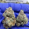 PAPAYA OG