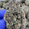 JOLLY RANCHER