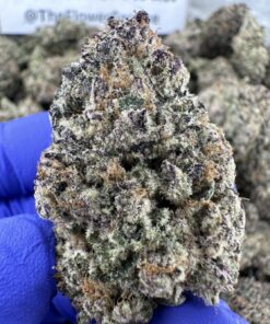 JOLLY RANCHER