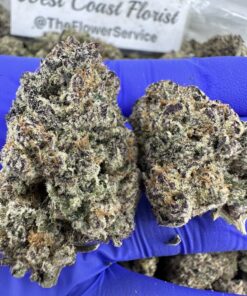 JOLLY RANCHER