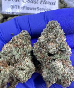 Super Gelato #43 (LIGHT DEPS)