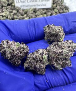 WHITE TRUFFLEZ