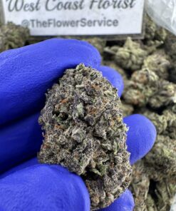 SHERBERT CAKE (BUDGET INDOOR) Diesel Cake