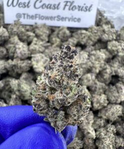 MODIFIED ZKITTLEZ