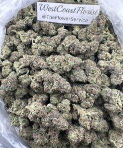 JEALOUSY OG x CRÈME