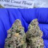 SHERBERT GELATO