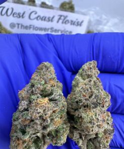 SHERBERT GELATO