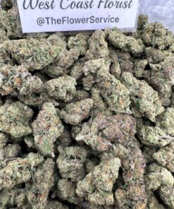SHERBERT GELATO