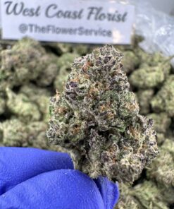 THIN MINT COOKIES