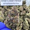 LEMON CHERRY GELATO