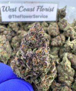 LEMON CHERRY GELATO