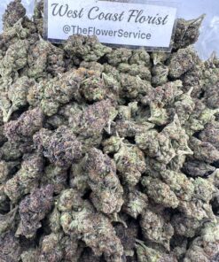 LEMON CHERRY GELATO