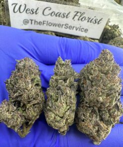 POP ROCKS x #44