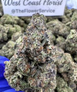 THIN MINT COOKIES