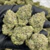 White Chocolate Gruntz Mixed Lights for Sale premium frosty cannabis flower with lime green buds and purple accents