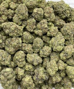 White Chocolate Gruntz Mixed Lights for Sale - Premium Frosty Cannabis Flower