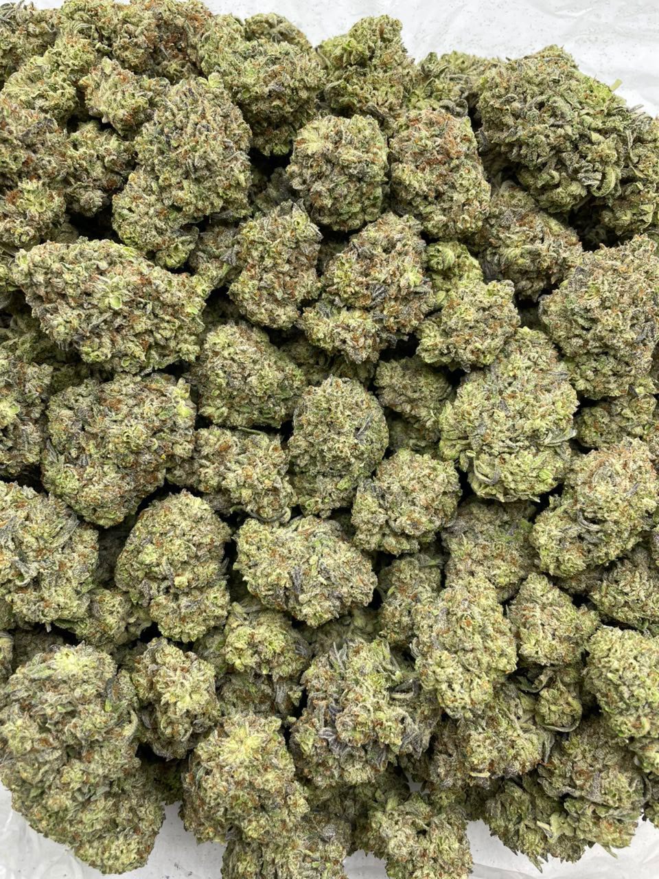 white-chocolate-gruntz-mixed-lights-for-sale.jpg White Chocolate Gruntz Mixed Lights for Sale - Premium Frosty Cannabis Flower
