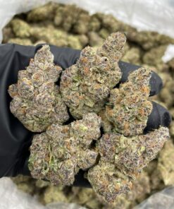 Strawnana Sherbet indoors 🍓🍌🍧